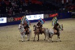 Quadrille - 00261